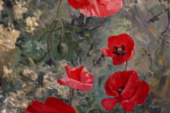 Amapolas
